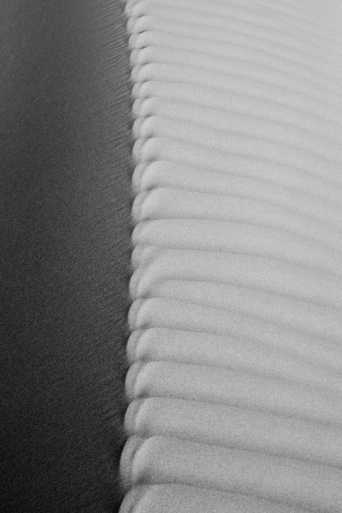 a black and white photo of a curved sand dune